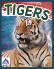 Tigers By Sophie Geister-Jones Cover Image