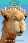 Camels (Elementary Explorers #4) Cover Image