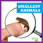 Smallest Animals (Record-Breaking Animals) By Lily Austen Cover Image