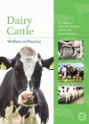Dairy Cattle Welfare in Practice (Animal Welfare in Practice) By Eva Mainau, PhD (Editor) Cover Image