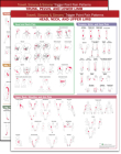 Travell, Simons & Simons’ Trigger Point Pain Patterns Wall Charts Package Cover Image