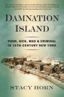 Damnation Island: Poor, Sick, Mad, and Criminal in 19th-Century New York By Stacy Horn Cover Image