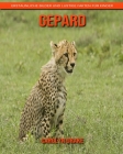 Gepard: Erstaunliche Bilder und lustige Fakten für Kinder By Carolyn Drake Cover Image