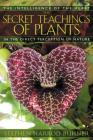 The Secret Teachings of Plants: The Intelligence of the Heart in the Direct Perception of Nature By Stephen Harrod Buhner Cover Image
