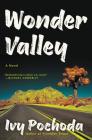 Wonder Valley: A Novel By Ivy Pochoda Cover Image