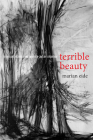 Terrible Beauty: The Violent Aesthetic and Twentieth-Century Literature (Cultural Frames) By Marian Eide Cover Image