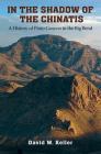 In the Shadow of the Chinatis: A History of Pinto Canyon in the Big Bend (The Texas Experience, Books made possible by Sarah '84 and Mark '77 Philpy) By David W. Keller Cover Image