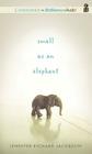 Small as an Elephant By Jennifer Richard Jacobson, William Dufris (Read by) Cover Image