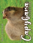 The Capybara Cutie Club 2025 Calendar By B. Patrick Cover Image