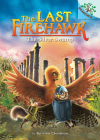 The Golden Temple: A Branches Book (The Last Firehawk #9) (Library Edition) By Katrina Charman, Judit Tondora (Illustrator) Cover Image