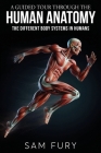 A Guided Tour Through the Human Anatomy: The Different Body Systems In Humans By Sam Fury Cover Image