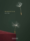 Momentum By Aaron Tilley Cover Image