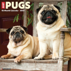 Just Pugs 2023 Wall Calendar By Willow Creek Press Cover Image