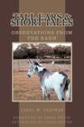 Tall Ears and Short Tales: Observations from the Barn By Carol M. Chapman Cover Image
