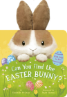 Can You Find the Easter Bunny? Cover Image