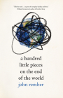 A Hundred Little Pieces on the End of the World By John Rember Cover Image