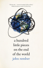 A Hundred Little Pieces on the End of the World By John Rember Cover Image