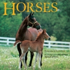 Horses: An Abridgement of Harold Roth's Big Book of Horses By Laura Driscoll Cover Image
