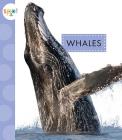 Whales (Spot Ocean Animals) Cover Image