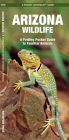 Arizona Wildlife: A Folding Pocket Guide to Familiar Animals (Pocket Naturalist Guide) By James Kavanagh, Raymond Leung (Illustrator) Cover Image