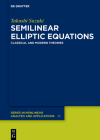 Semilinear Elliptic Equations: Classical and Modern Theories Cover Image