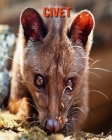 Civet: Amazing Facts & Pictures By Pam Louise Cover Image