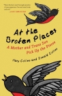 At the Broken Places: A Mother and Trans Son Pick Up the Pieces By Mary Collins, Donald Collins Cover Image
