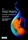 The Fetal Matrix - Evol Dev Disease By Peter Gluckman, Mark Hanson Cover Image