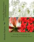 Amaryllis, Paperwhites and Poinsettias: Growing, Propagating and Reblooming Your Holiday Plants By Miranda Hopkins Cover Image