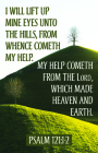 I Will Lift Up  Bulletin (Pkg 100) General Worship By Broadman Church Supplies Staff (Contributions by) Cover Image