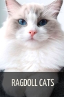Ragdoll Cats Cover Image