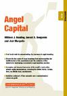 Angel Capital: Enterprise 02.05 (Express Exec #29) By W. J. Bradley, William Benjamin, Joel B. Margulis Cover Image