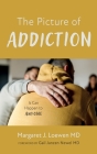 The Picture of Addiction: It Can Happen to Anyone By Margaret J. Loewen, Gail Janzen Newel (Foreword by) Cover Image
