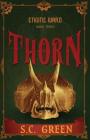 Thorn: a dark steampunk fantasy By S. C. Green Cover Image