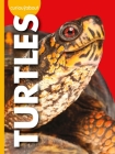 Curious about Turtles (Curious about Pets) Cover Image