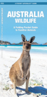 Australia Wildlife: A Folding Pocket Guide to Familiar Animals (Pocket Naturalist Guide) By James Kavanagh, Waterford Press, Raymond Leung (Illustrator) Cover Image