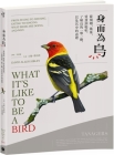 What It's Like to Be a Bird: From Flying to Nesting, Eating to Singing--What Birds Are Doing, and Why By David Allen Sibley Cover Image