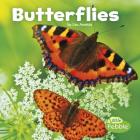 Butterflies (Little Critters) By Lisa J. Amstutz Cover Image