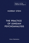 The Collected Writings of Murray Stein: Volume 4: The Practice of Jungian Psychoanalysis By Murray Stein Cover Image