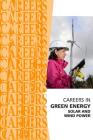 Careers in Green Energy: Solar and Wind Power Jobs By Institute for Career Research Cover Image