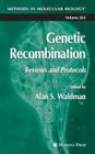 Genetic Recombination: Reviews and Protocols (Methods in Molecular Biology #262) By Alan S. Waldman (Editor) Cover Image