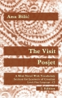 The Visit / Posjet: A Mini Novel With Vocabulary Section for Learning Croatian, Level First Language C2 = Superior, 2. Edition Cover Image