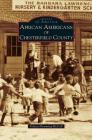 African Americans of Chesterfield County By Felicia Flemming-McCall Cover Image