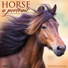 Horse: A Portrait 2022 Wall Calendar By Willow Creek Press Cover Image