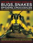 Explore the Deadly World of Bugs, Snakes, Spiders & Crocodiles: The Dramatic Lives and Conflicts of the World's Strangest Creatures Shown in 1500 Amaz By Barbara Taylor, John Farndon, Jen Green Cover Image
