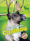 Caribou (North American Animals) By Megan Borgert-Spaniol Cover Image