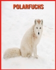 Polarfuchs: Tolle Bilder & Wissenswertes über Tiere in der Natur By Laura Musso Cover Image