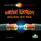Everyday Electricity, Shocking But True Cover Image
