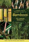 Timber Press Pocket Guide to Bamboos By Ted Jordan Meredith Cover Image