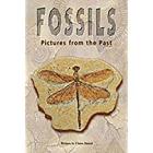 Steck-Vaughn Pair-It Books Proficiency Stage 5: Leveled Reader Bookroom Package Fossils: Pictures from the Past Cover Image